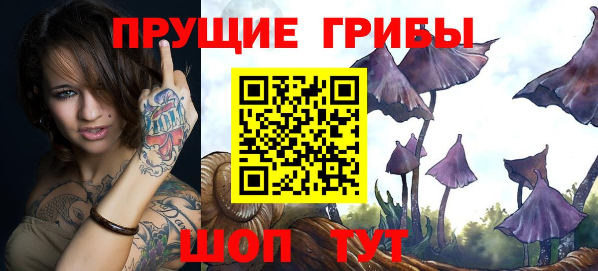 Галлюциногенные грибы мухоморы Элиста