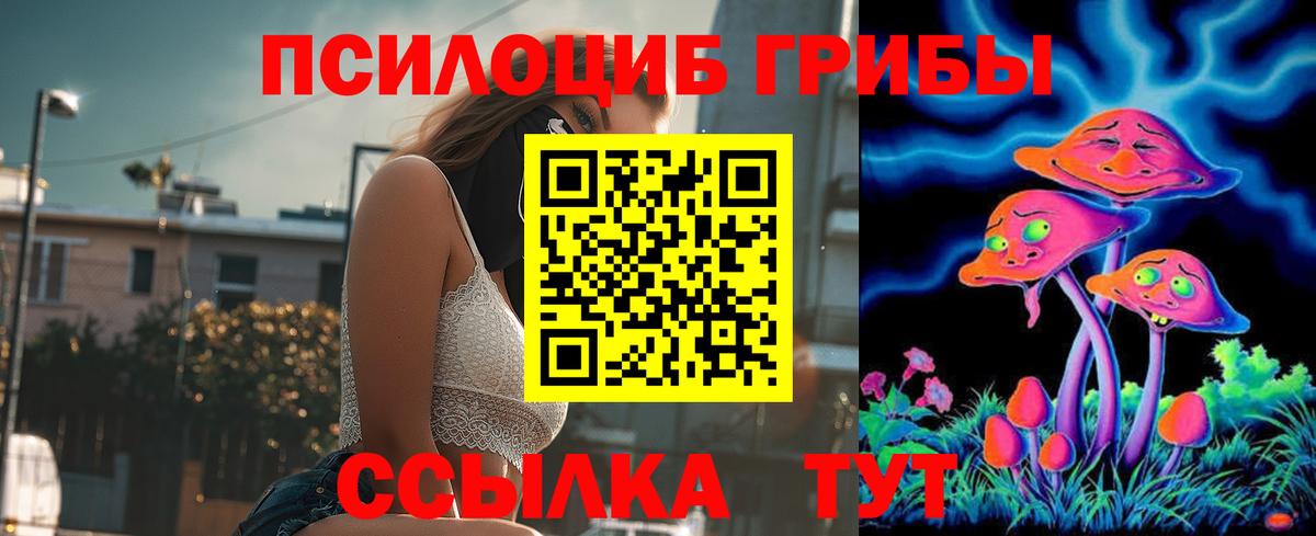 Элиста  цена   Вход с VPN  Галлюциногенные грибы мицелий  Галлюциногенные грибы GOLDEN TEACHER 