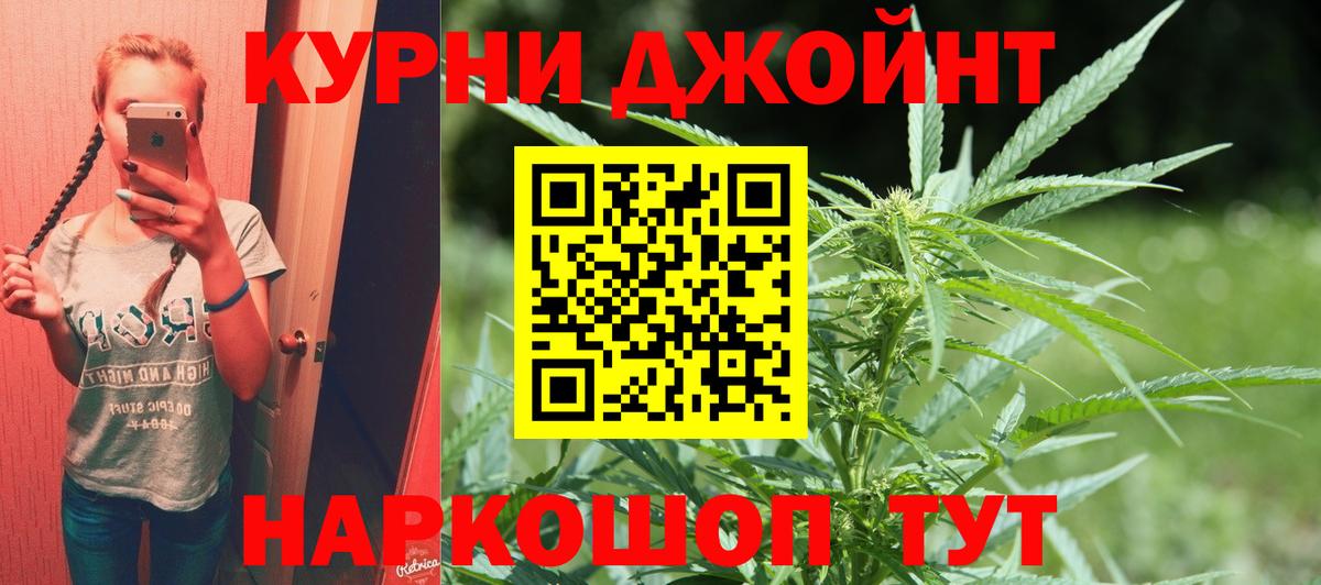 Шишки марихуана план  Шишки марихуана план  Вход с VPN  Шишки марихуана план  Элиста 